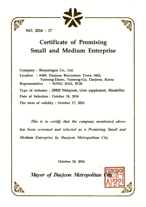 Certificate of Promising Small and Medium Enterprise(EN) 2016