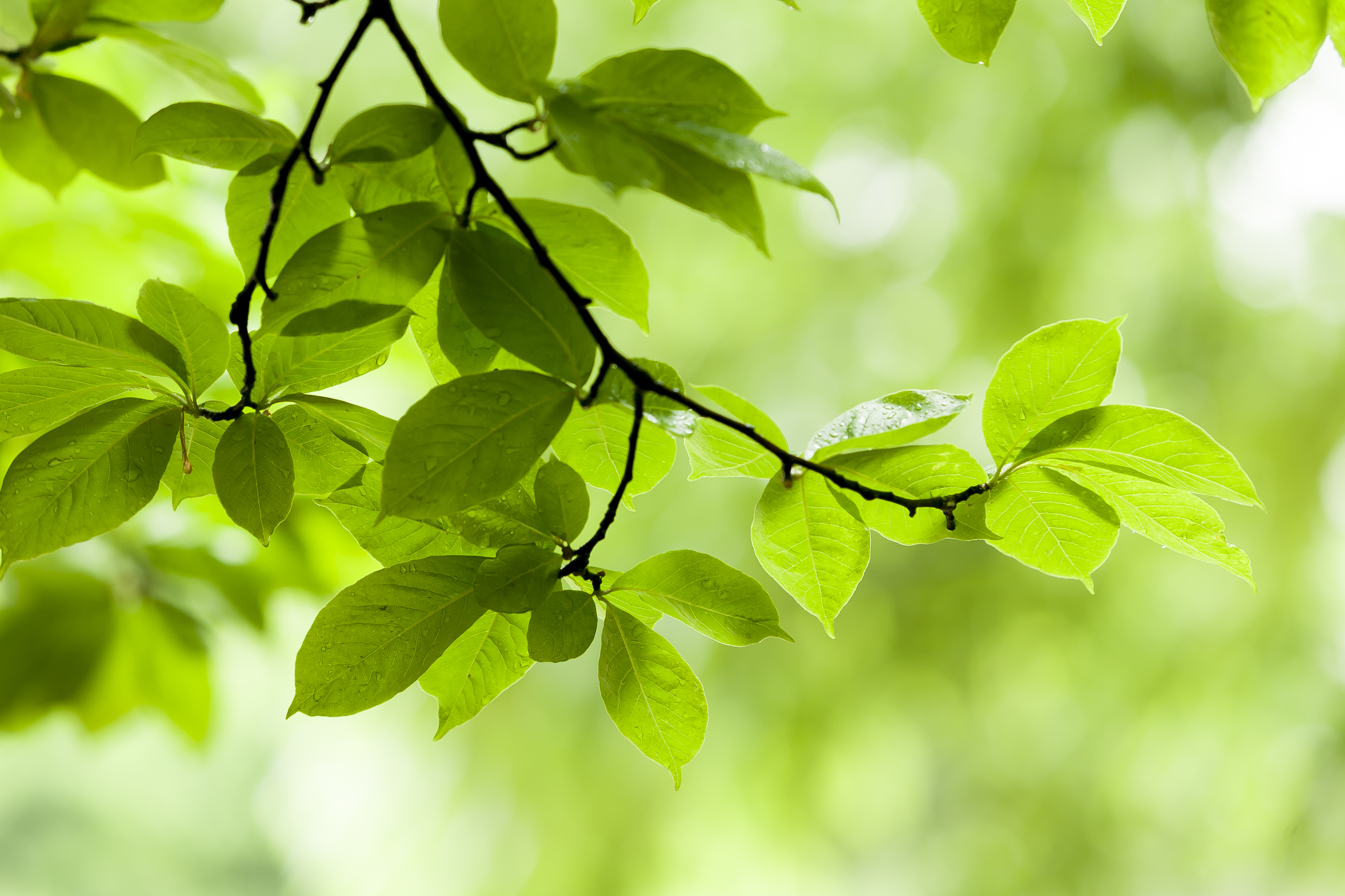 홈페이지 테스트