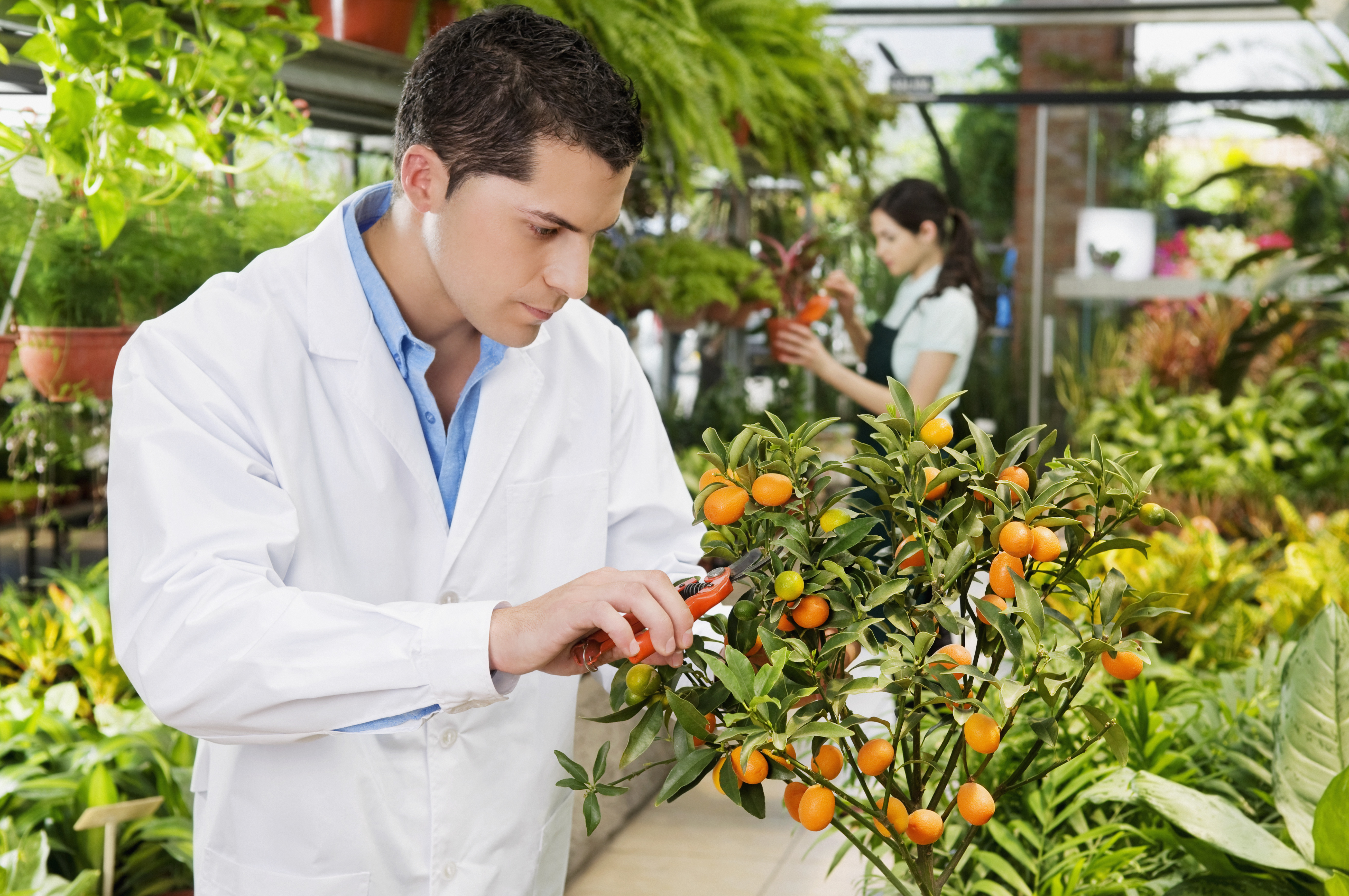 Bionutrigen Homepage Open test