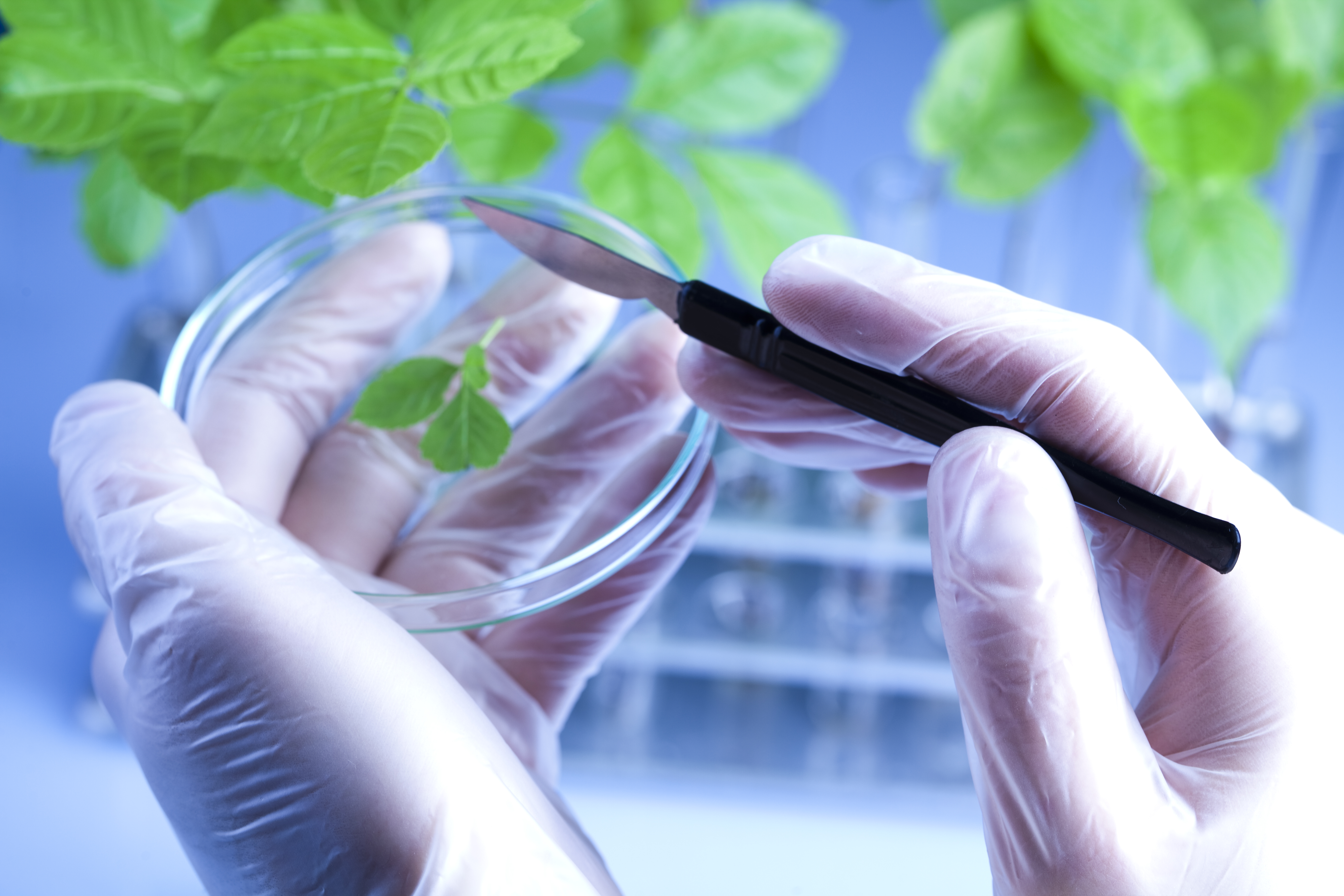 Bionutrigen Homepage Open test