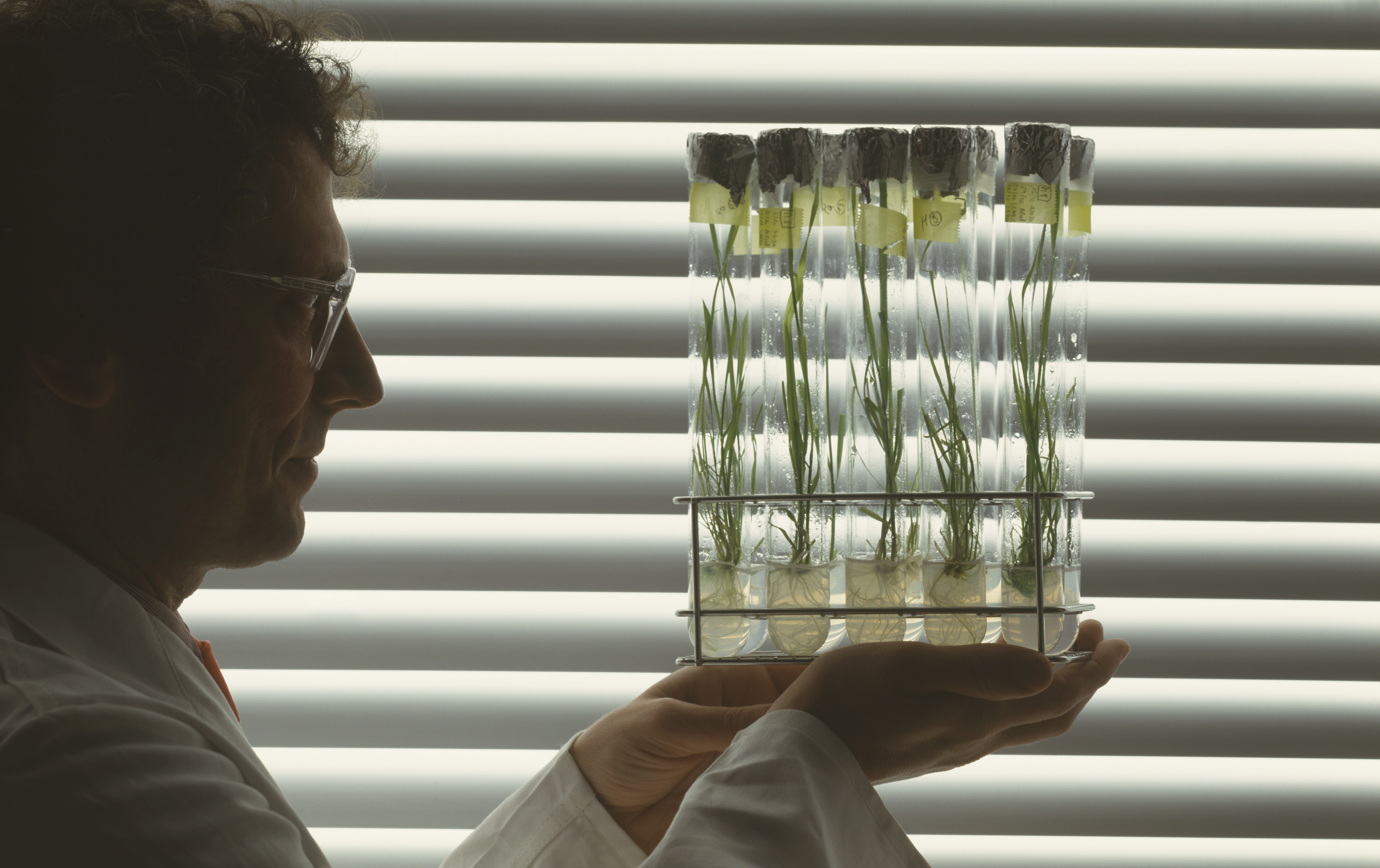 Bionutrigen Homepage Open test