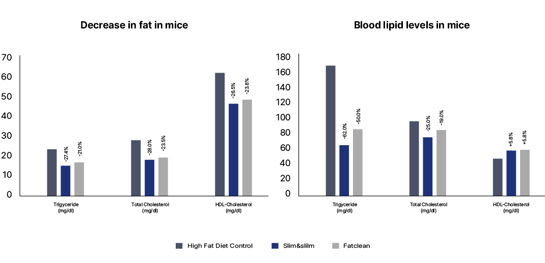 쥐의 혈중 지질 수준